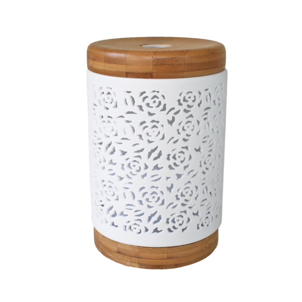 crane-aroma-diffuser-ee-8001