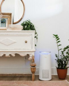 Air Purifier for Allergies