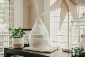 Cool Mist Humidifier Manila