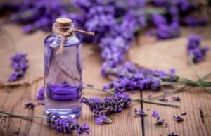 Lavender Scents