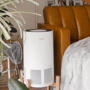 Air purifier crane