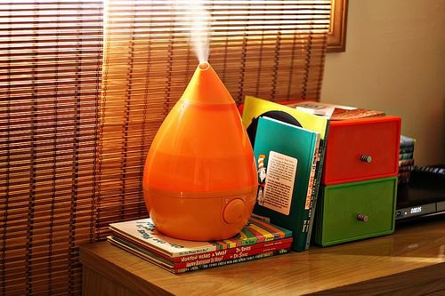 Cool Mist Humidifier