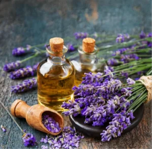 Lavender Oils