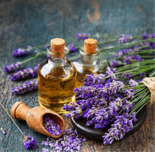 Lavender Oils